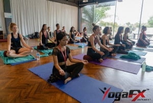 YogaFX Teacher Training