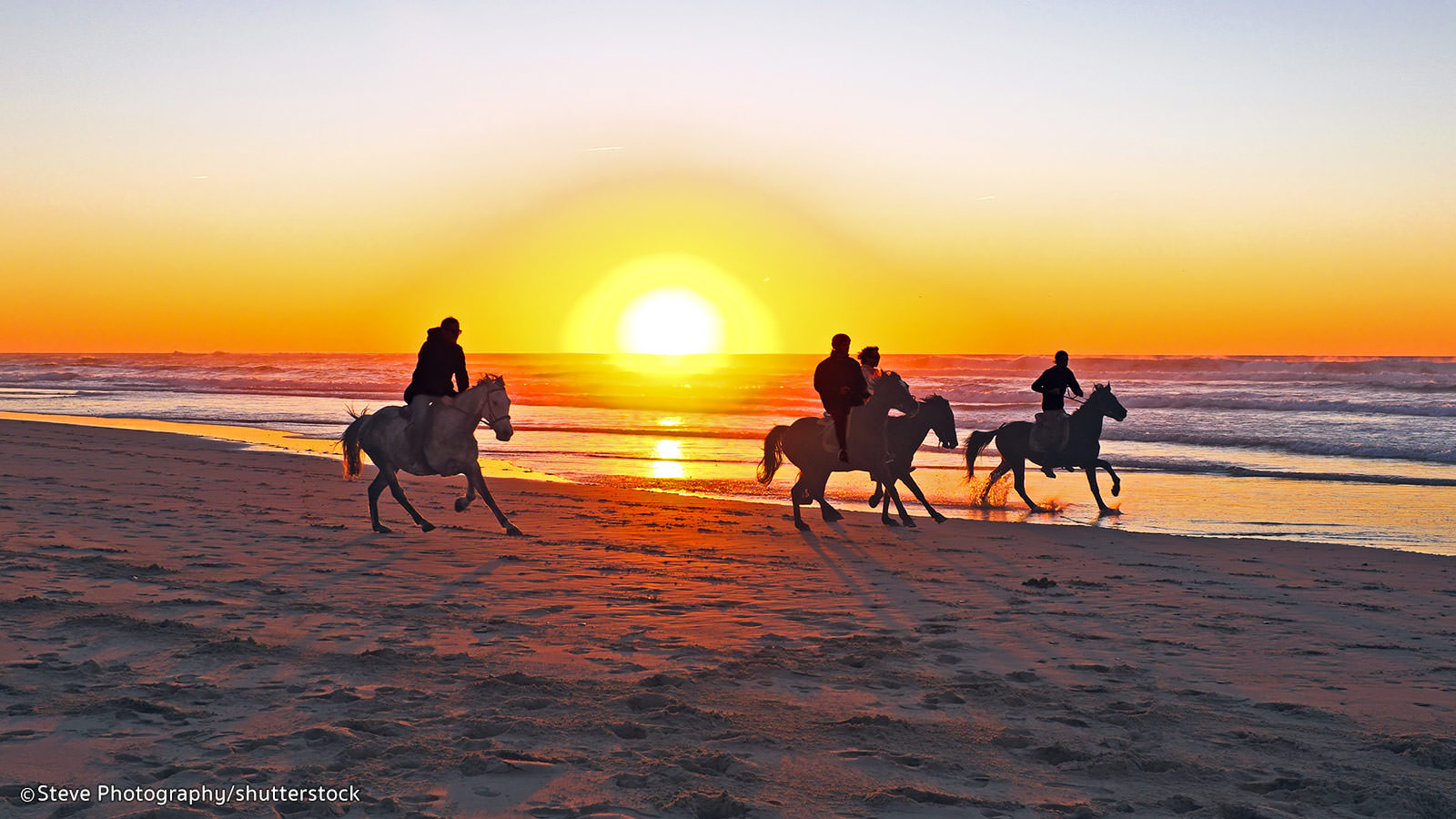 bali horse riding