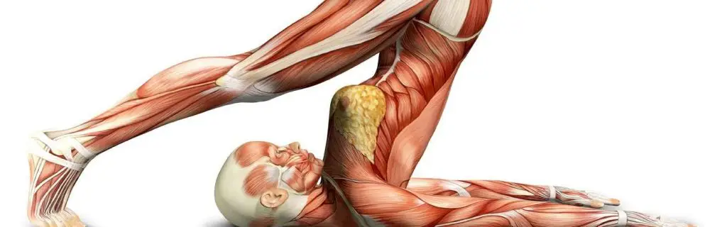 YogaFX International Yoga Teaching Academy Bali RYS 200 Hours