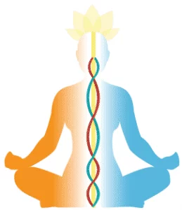 YogaFX Pranayama YogaFX Bikram Yoga RYT Hour 200 Teacher Training Canggu Bali