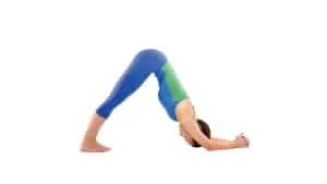 arm exercises yoga dophin pose