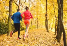 YogaFX Yoga Alliance Teacher Training Studio Ubud Bali