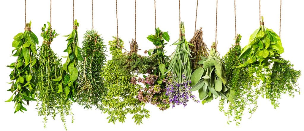 herbal health