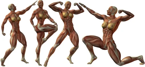 YogaFX Strong Pectoral Muscles YogaFX Strong Pectoral Muscles
