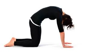 YogaFX Bikram Yoga RYT 200 Teacher Training Course Canggu Bali 