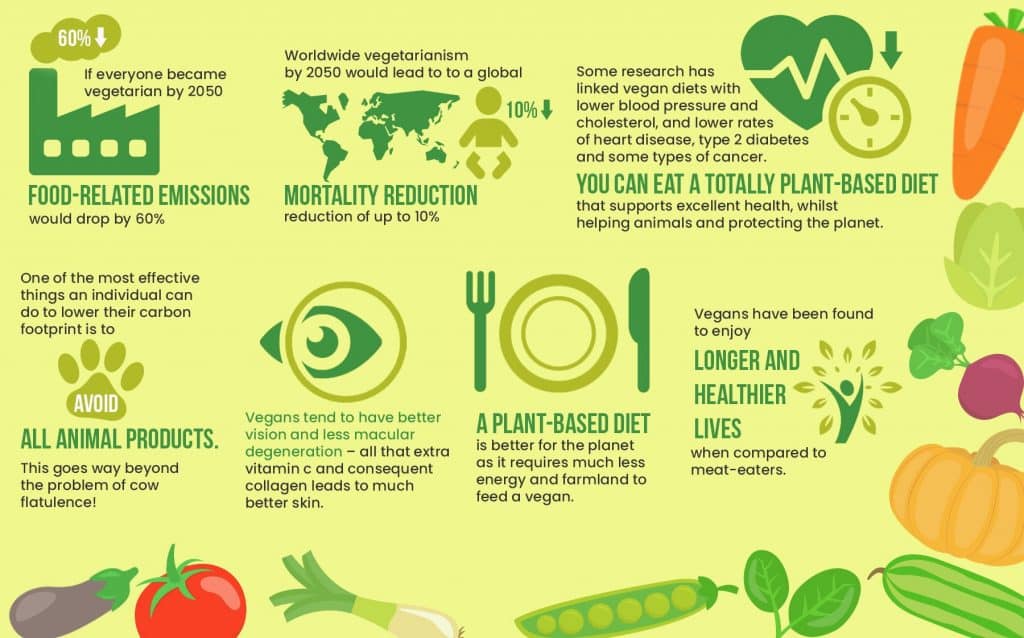 healthy food for vegetarian