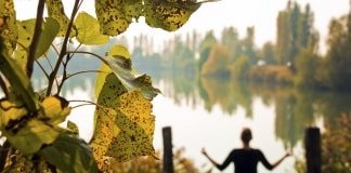 YogaFX Woman doing meditation in Autumn season