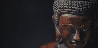 Balancing Yoga Poses to Balance Your Life balancing yoga