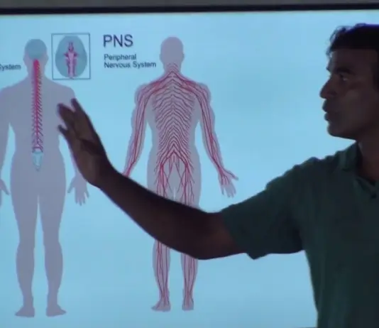 how to prevent sports injuries