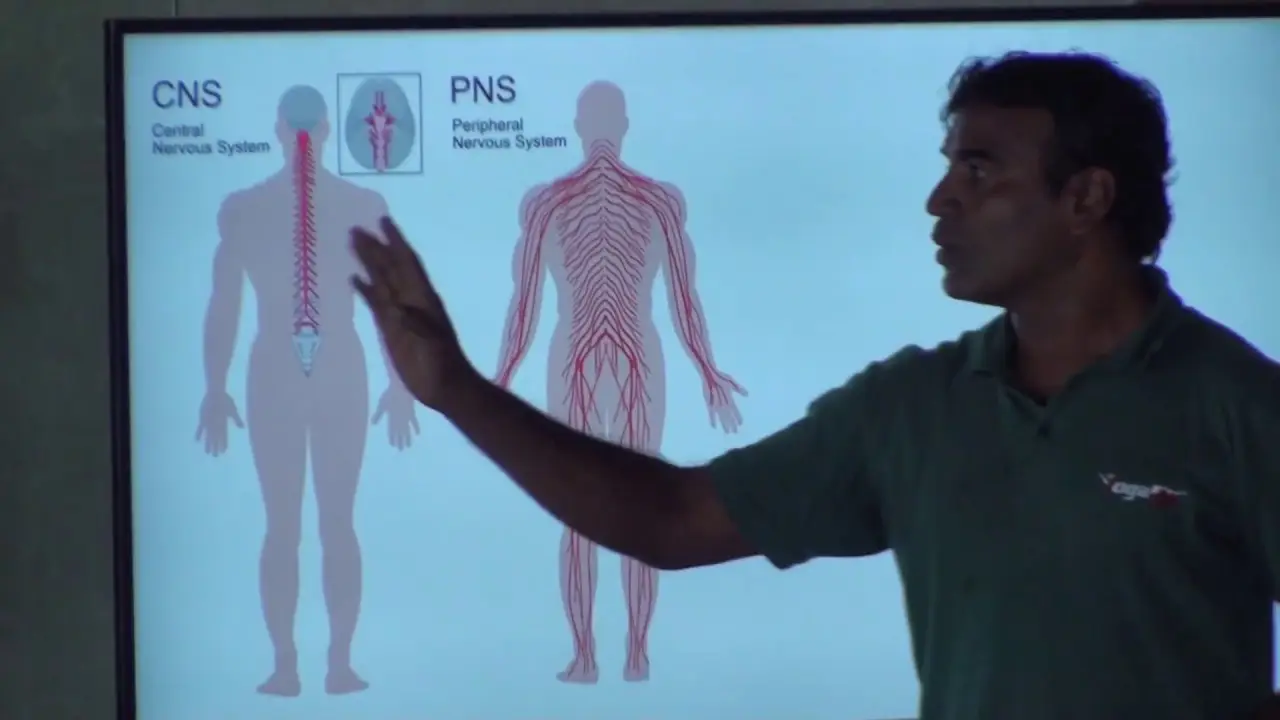 yoga for men YogaFX Teacher Traning Bali