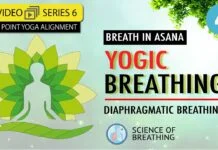 Discover the Benefits of Yogic Breathing for a More Mindful and Balanced Life yogafx teacher training