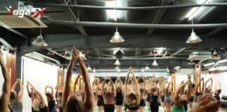 Self-paced online pre-course module covering yoga anatomy and dialogue memorisation, the theory portion of a hybrid yoga teacher training programme