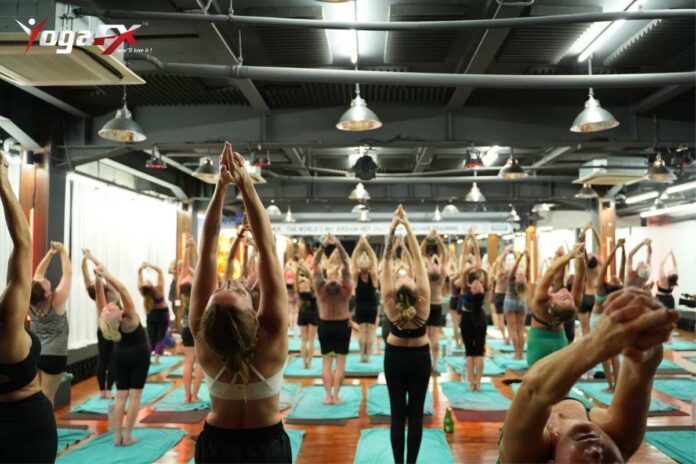 Self-paced online pre-course module covering yoga anatomy and dialogue memorisation, the theory portion of a hybrid yoga teacher training programme