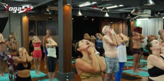 A YogaFX applicant working through the self-paced online pre-course modules covering anatomy, posture sequencing, and dialogue basics before arrival.
